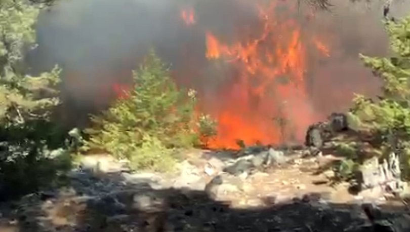 Antalya’da ormanlık alanda çıkan yangın kontrol altında