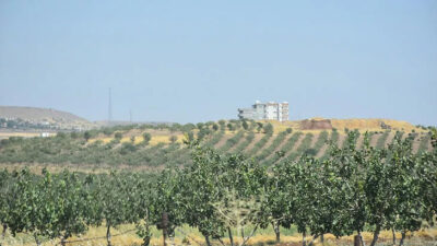 Hırsızlara karşı fıstık nöbeti! Gündüz üreticiler, gece jandarma devriyede