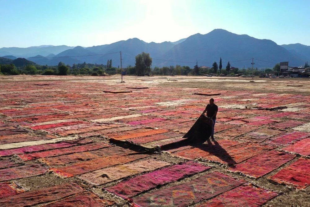 Antalya'nın halı tarlaları görsel bir şölen sunuyor 8 Untitled 4 1
