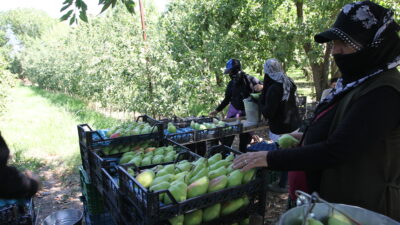 Bursa’da İŞKUR gibi çalışan sektör! 4 bin işçi kente geldi…