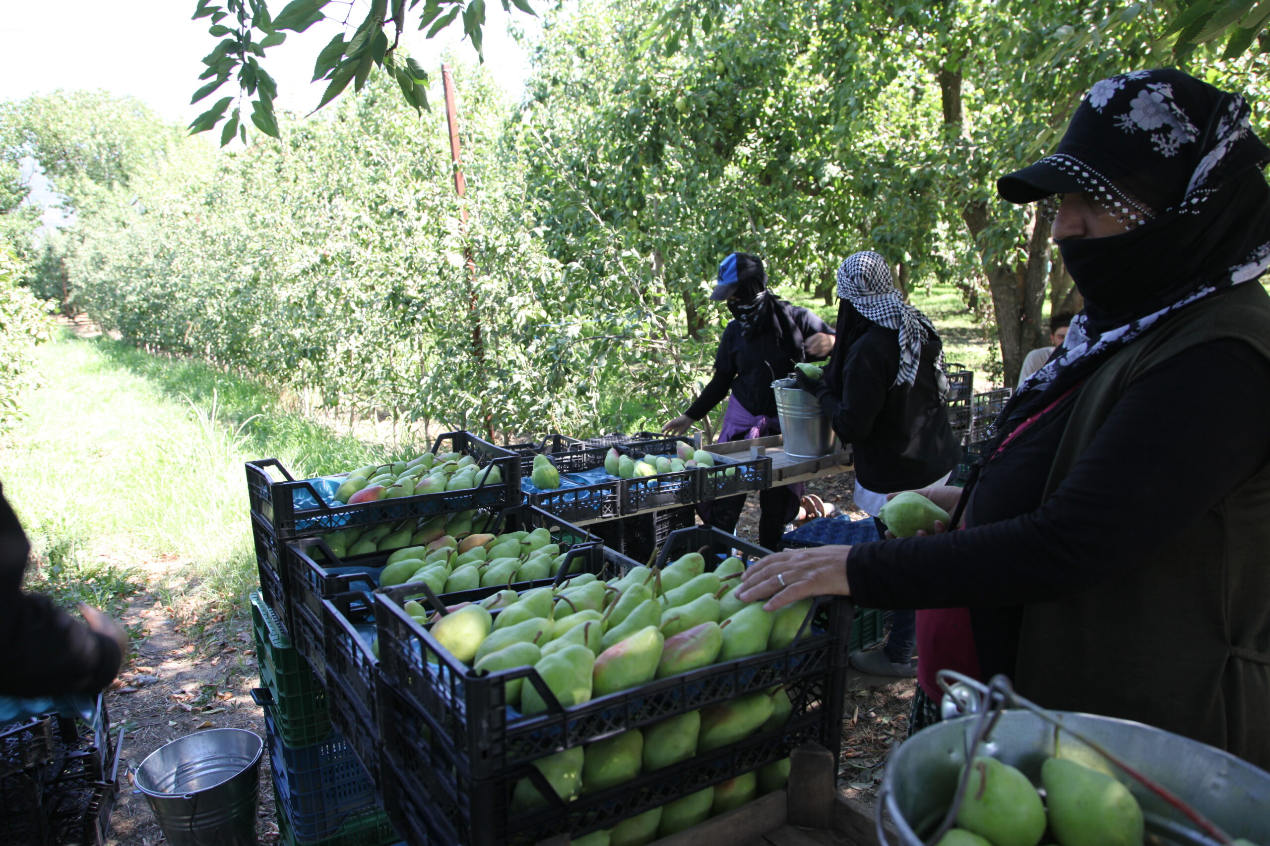 Bursa’da İŞKUR gibi çalışan sektör! 4 bin işçi kente geldi…
