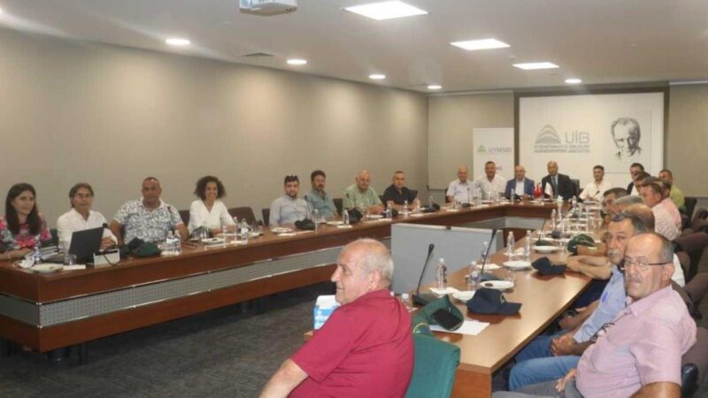 Bursa'nın önemli ihracat kalemlerinden olan "Bursa Siyah İnciri"nin hasat sezonu