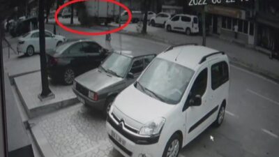 Bursa’da 70 yıllık tarihi çınar kamyonun çarpmasıyla devrildi