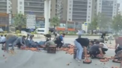 Bursa’da şeftaliler için seferber oldular!