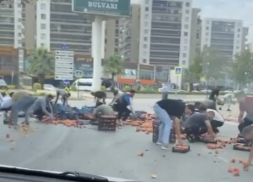 Bursa’da şeftaliler için seferber oldular!