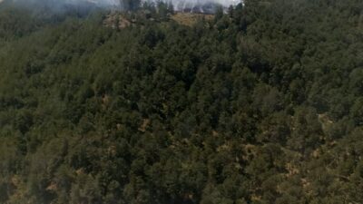 Bursa’da orman yangını