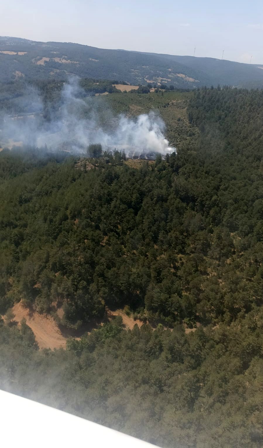Bursa’da orman yangını