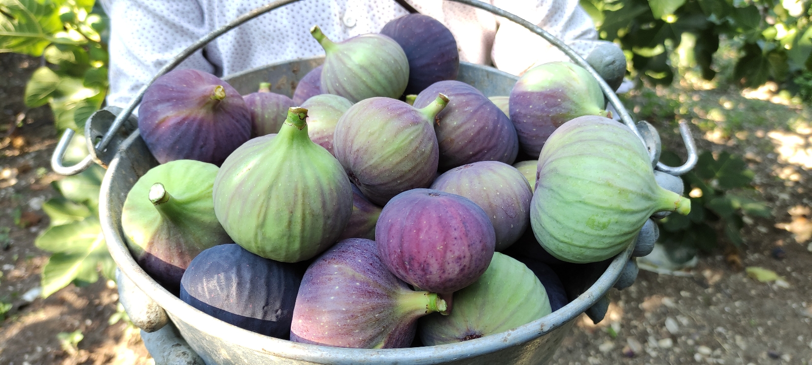 Bursa’nın dünyaca ünlü ürünü!