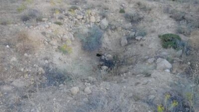 ‘Altın var’ söylentisiyle höyük define avcılarının hedefi oldu