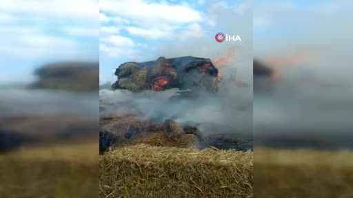 Bursa’da çiftlikte yangın