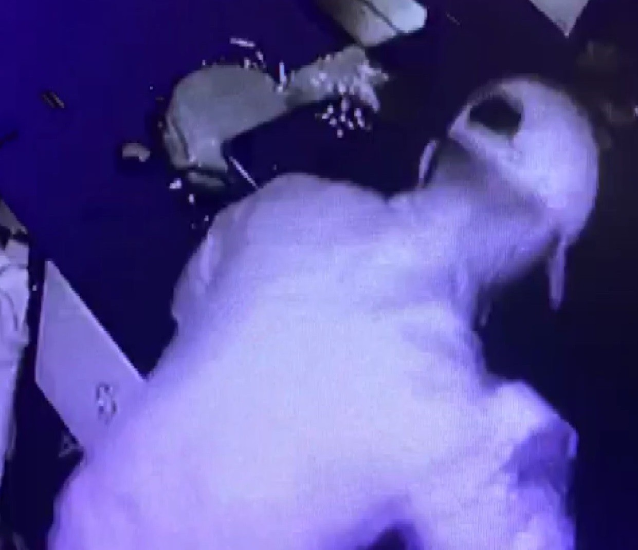 Bursa’da kafeye giren hırsız sadaka kutusu çaldı