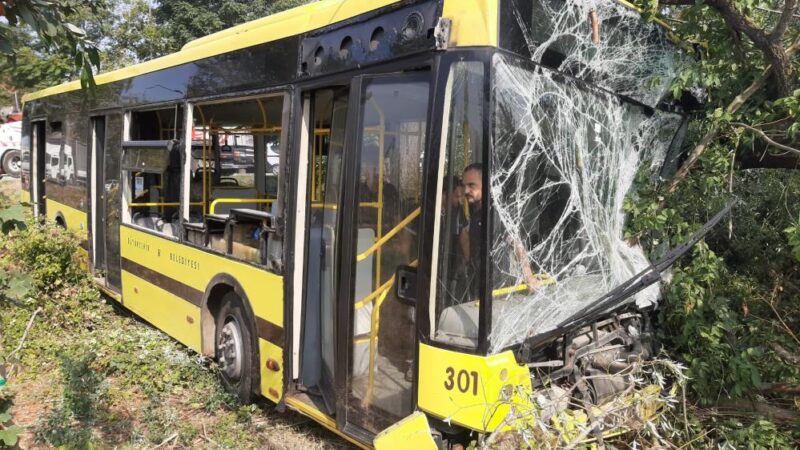 Bursa'da arıza nedeniyle yol kenarında duran kamyonete çarparak şarampole devrilen
