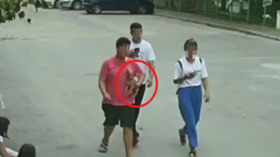 Bursa’da ‘Lucy’yi önce sevdiler, sonra götürdüler; o anlar kamerada