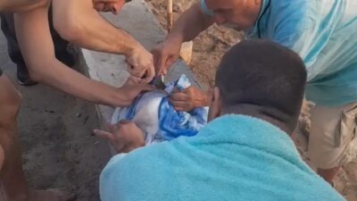 Bursa’da misinaya takılan martı özgürlüğüne böyle kavuştu