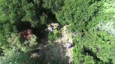 Bursa’da ormana uyuşturucu diktiler!