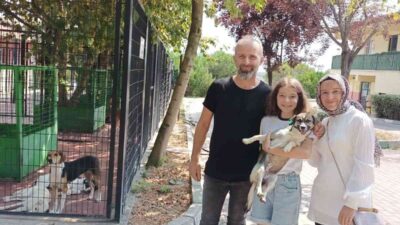 Osmangazi’de 3 can dosta sıcak yuva