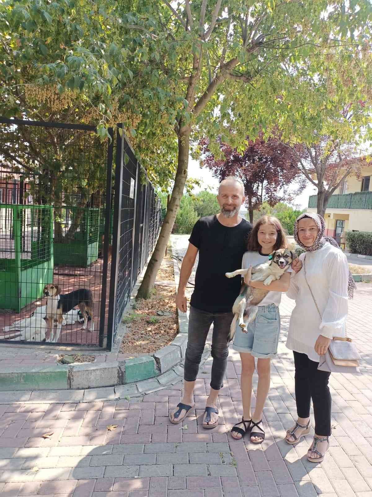 Osmangazi’de 3 can dosta sıcak yuva