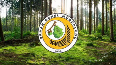 Bursa’da orman parkı işletmesi kiraya verilecek…