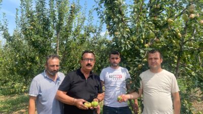 Bursa’da sağanak yağış tarım ürünlerinde 30 milyon lira zarara yol açtı
