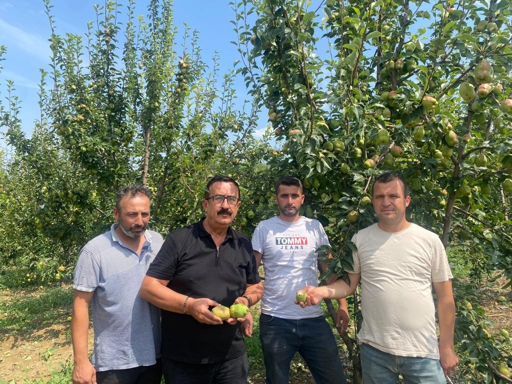 Bursa’da sağanak yağış tarım ürünlerinde 30 milyon lira zarara yol açtı