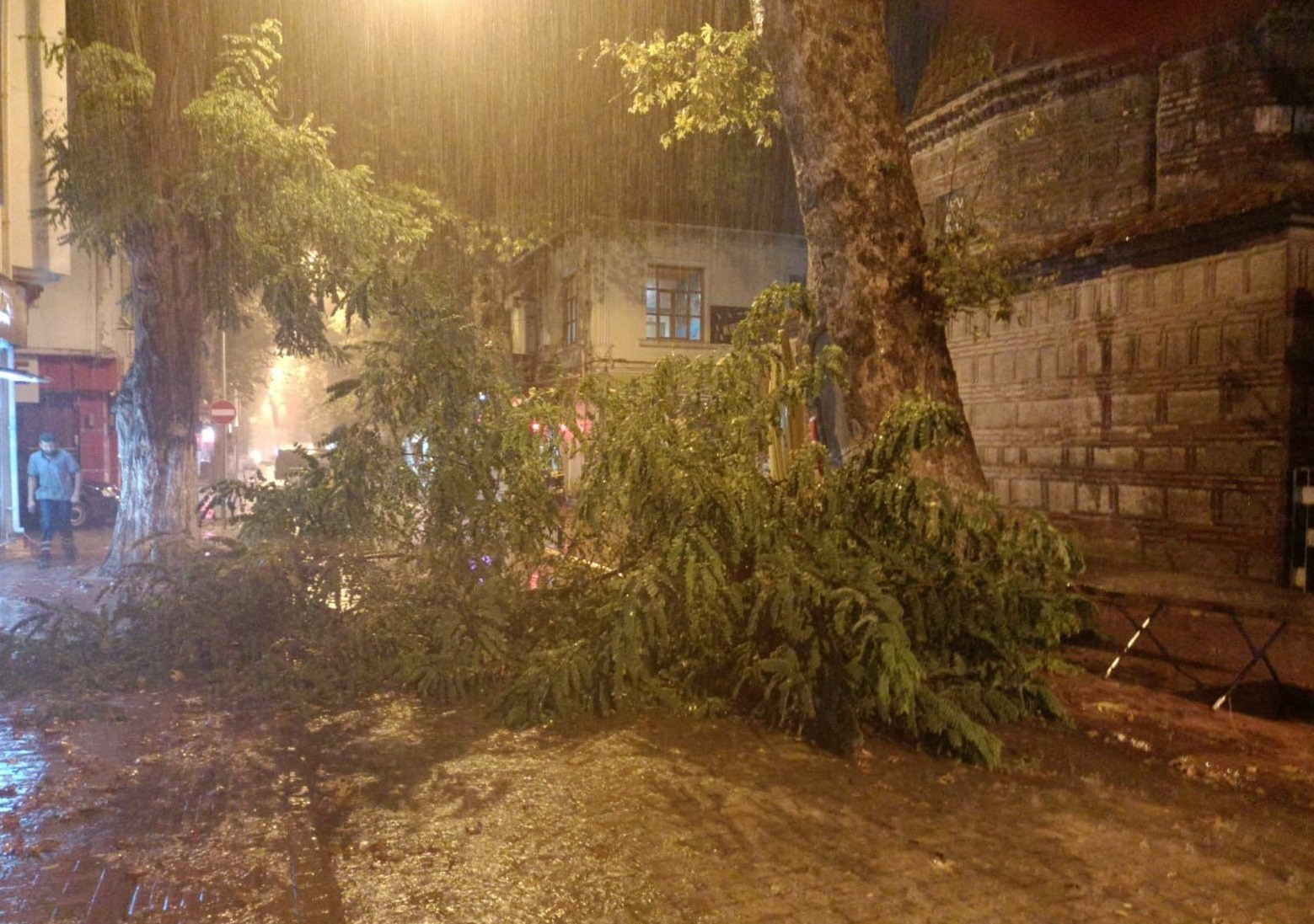 Bursa’da rüzgâr yüzyıllık ağacı devirdi! Bursa’da rüzgâr yüzyıllık ağacı devirdi!