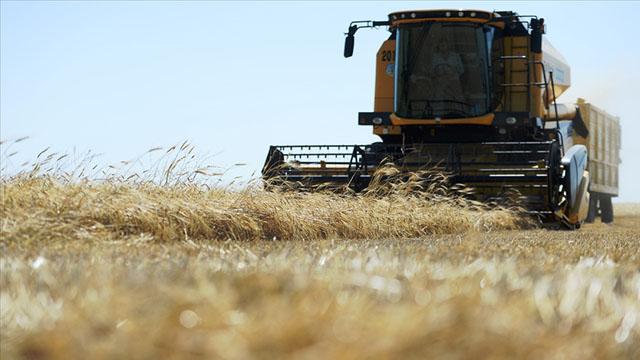 Tarımda rekor ihracat