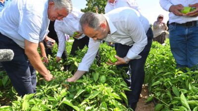 Tarlada serinleten ziyaret