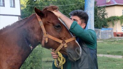 Bahçe hortumu ile atını kurtardı
