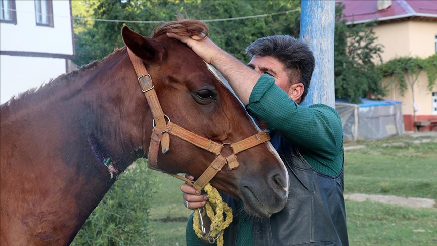 Bahçe hortumu ile atını kurtardı