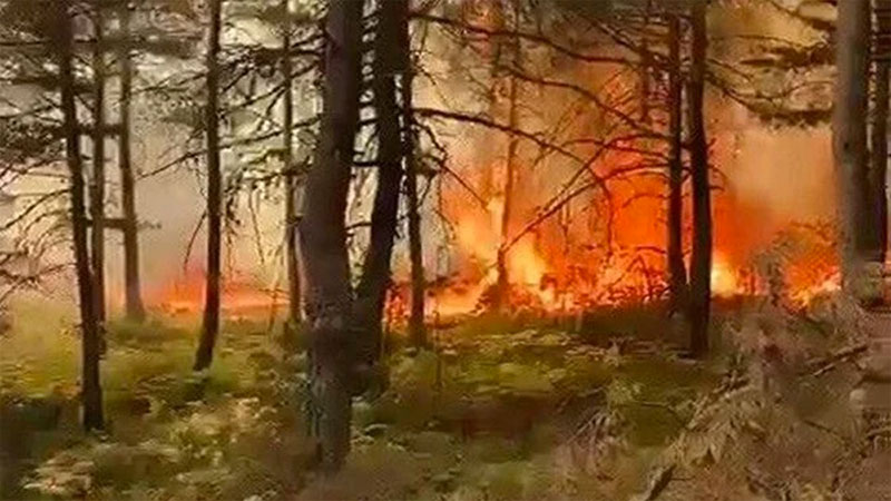 Tokat’ta orman yangını