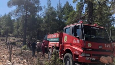Düşen yıldırım yangın çıkardı! 2 hektar orman zarar gördü