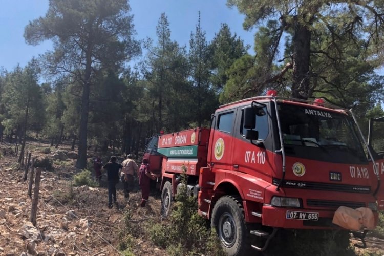 Düşen yıldırım yangın çıkardı! 2 hektar orman zarar gördü