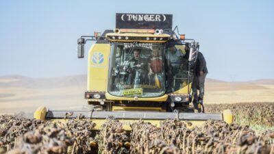 Türkiye’e ilk kez üretildi! Rekor bekleniyor