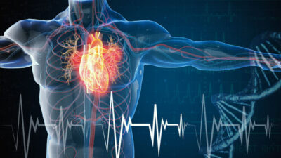 Kalp krizinin en önemli nedenlerinden biri!