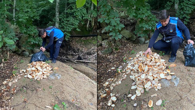 Oylat AŞ’den yaban hayatına destek
