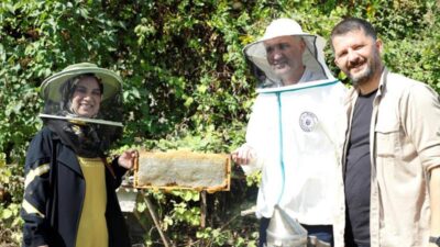İnegöl’de bal hasadı başladı