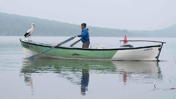 ‘Yaren leylek ve 3 yavrusu, göç yolculuğuna başladı ‘Yaren leylek ve 3 yavrusu, göç yolculuğuna başladı