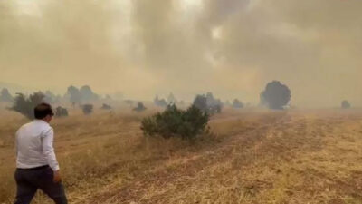Erzincan’da orman yangını