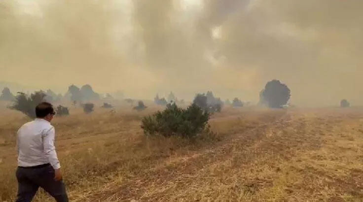 Erzincan’da orman yangını