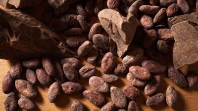 Kanıtlandı! Saatler içinde damarları…