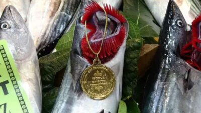 Av yasağı bitti, fiyatlar düştü! Palamudun tanesi 50 lira…