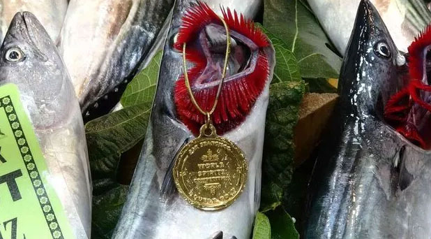 Av yasağı bitti, fiyatlar düştü! Palamudun tanesi 50 lira…