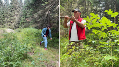 Bursa’da yasak bitti! Yeşilliklere akın ettiler