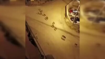 Görüntüler Bursa’dan… İlçe merkezine indi