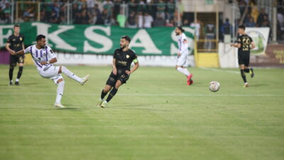 Timsah istediğini bulamadı