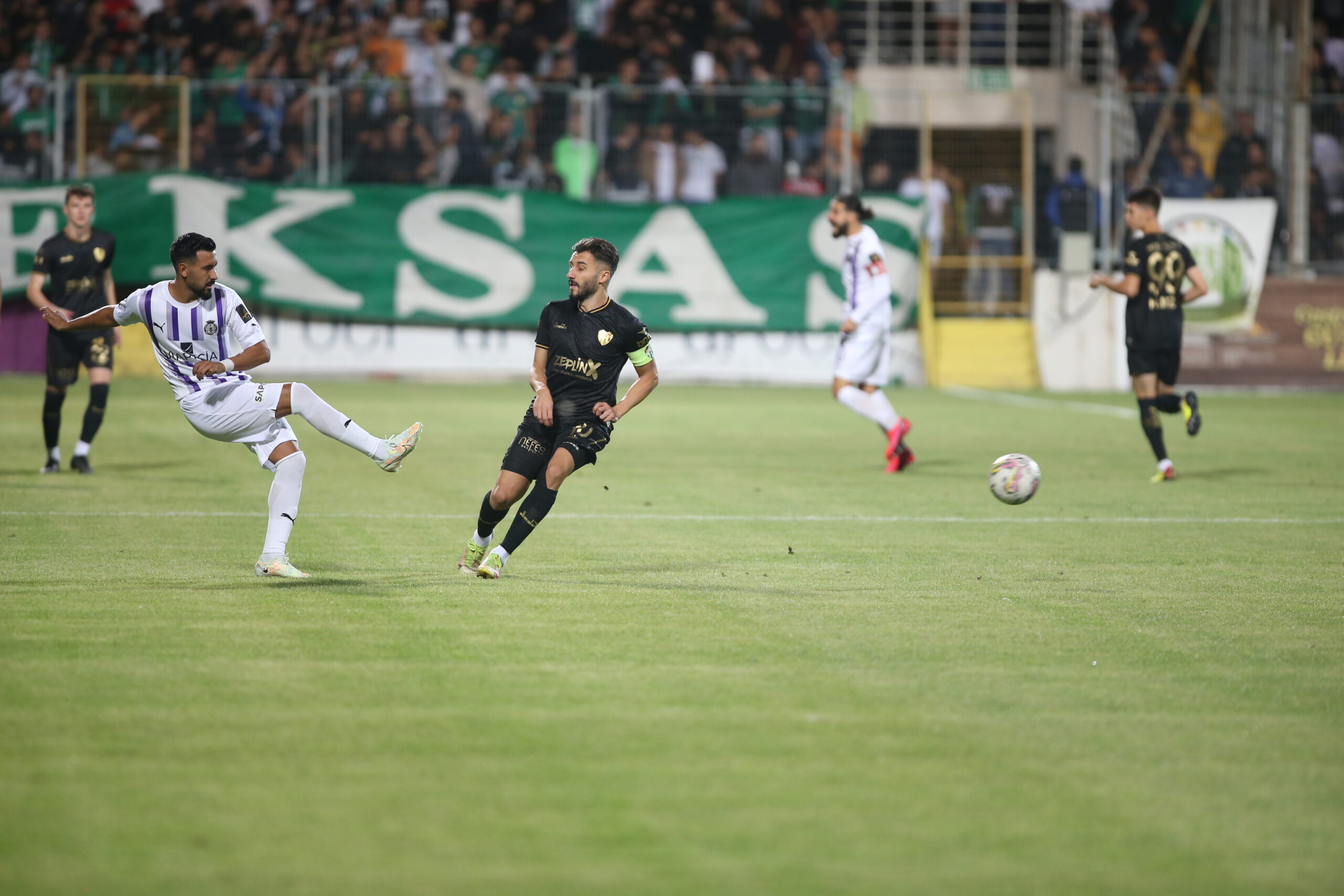 Timsah istediğini bulamadı