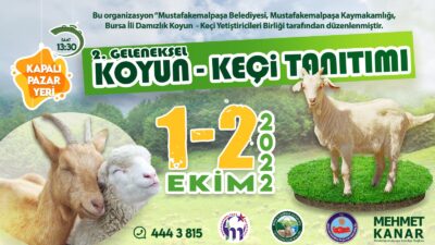 Mustafakemalpaşa’da Koyun-Keçi Ekipmanları Tanıtım Festivali hazırlıkları başladı