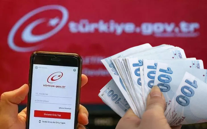 E-Devlet’te yeni hizmet! 1 Ekim’de başlıyor
