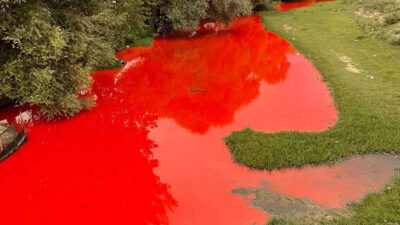 Temizlik yapıldı! Kırmızı renge bürünen dereden son görüntü