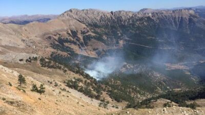 Adana’da orman yangını